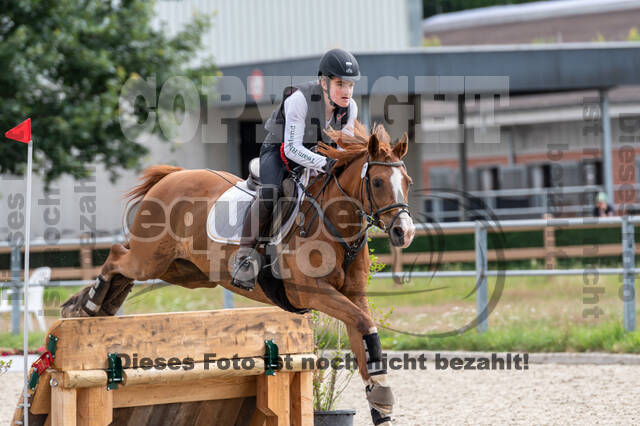 Late-Entry-Vielseitigkeit Langenfeld (06.+07.07.2020)