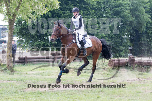 Vielseitigkeitsturnier ZRFV von Lützow Hamminkeln