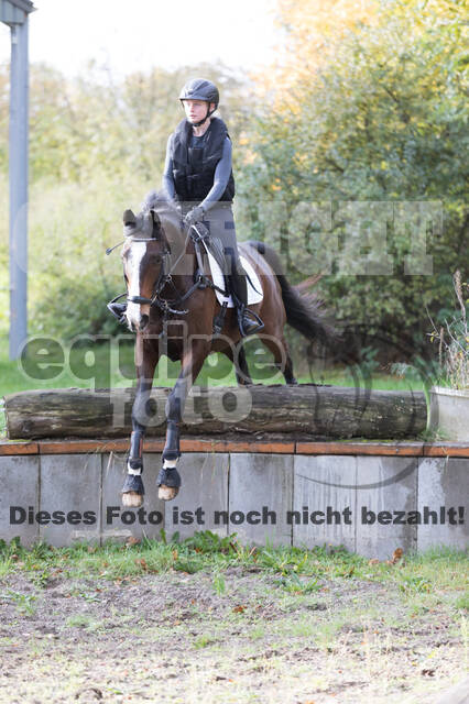 IGV Lehrgang der Sieger der Cups mit Frank Ostholt