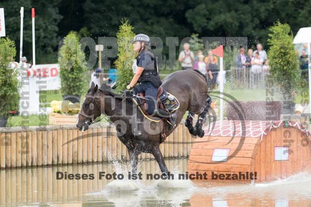 FEI European Championship