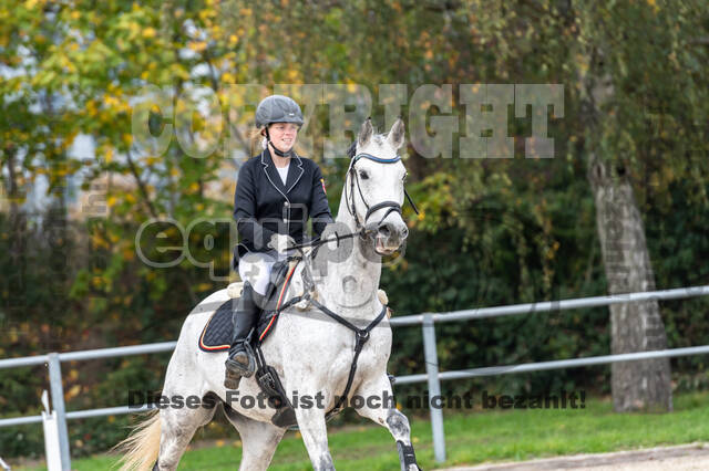 Goldene Schärpe 2020 - Pferde