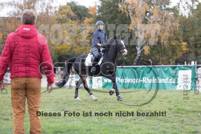 IGV Lehrgang der Sieger der Cups mit Frank Ostholt