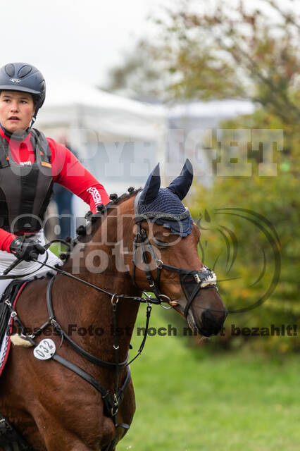 Goldene Schärpe 2020 - Pferde