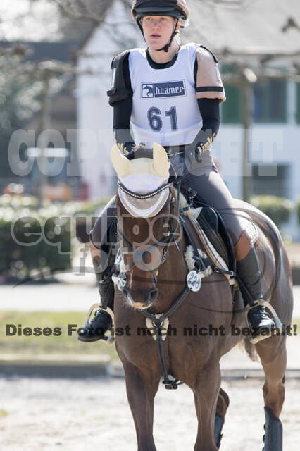 Eventing Langenfeld 2018