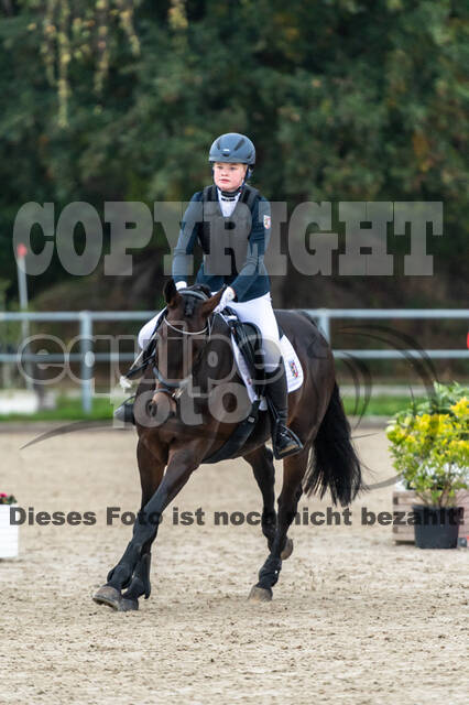 Reiter Schleswig-Holstein