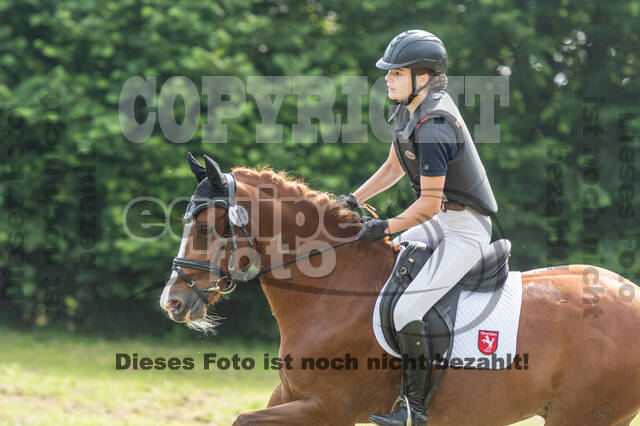 Goldene Schärpe 2021 - Ponys