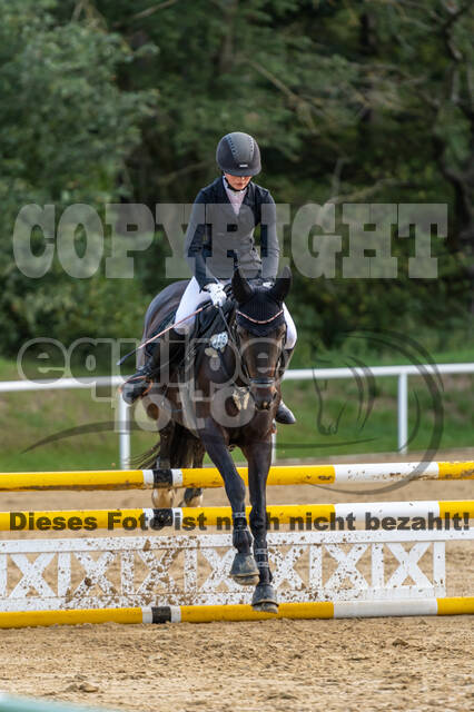 RFV Dinslaken-Hiesfeld (Herbstturnier)