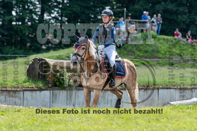 Goldene Schärpe 2021 - Ponys