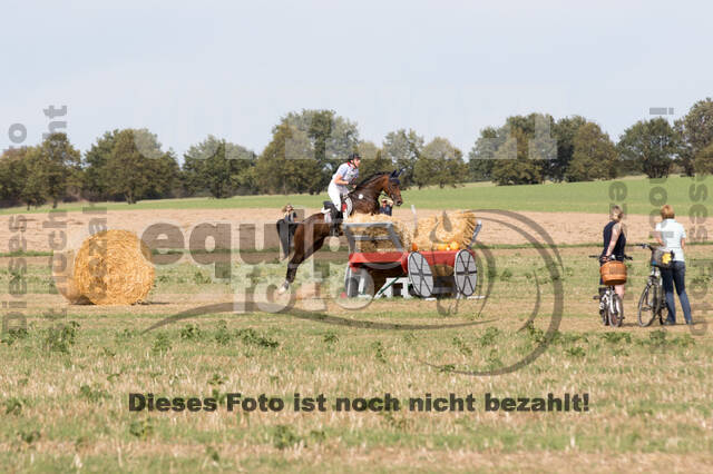 IGV Kleve - Vielseitigkeitsturnier