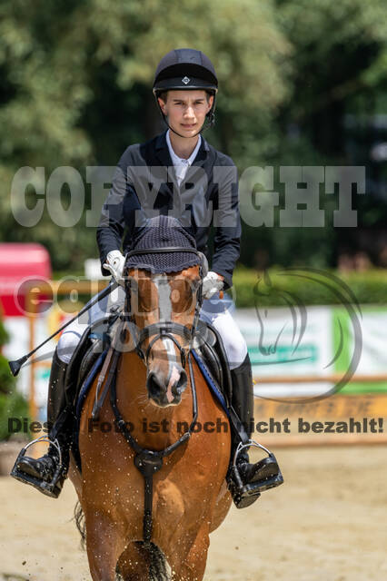Goldene Schärpe 2021 - Ponys
