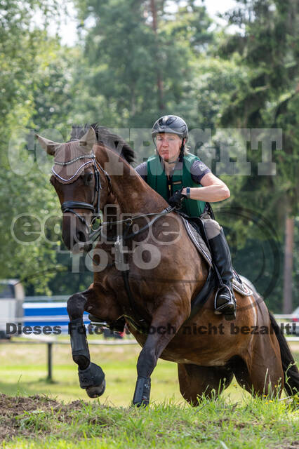 Hunter Geländetraining 10.07.2021 (Sonsbeck)