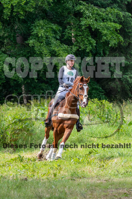 Westerstede Horse Trials 2021