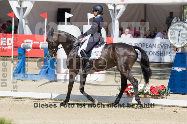 FEI European Championship