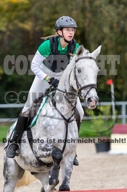 Goldene Schärpe 2020 - Pferde