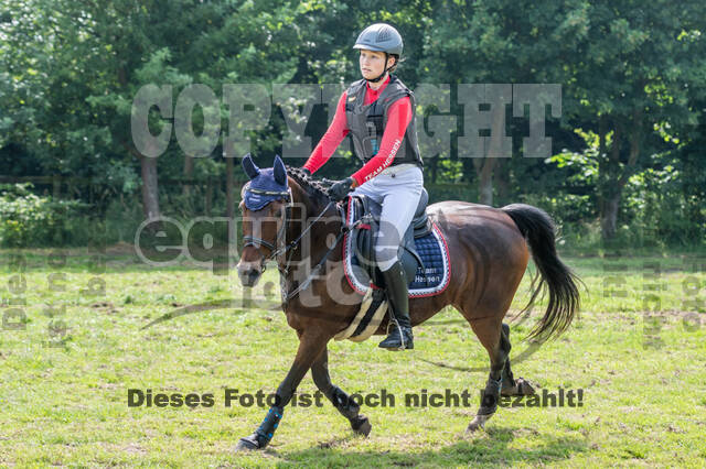 Goldene Schärpe 2021 - Ponys