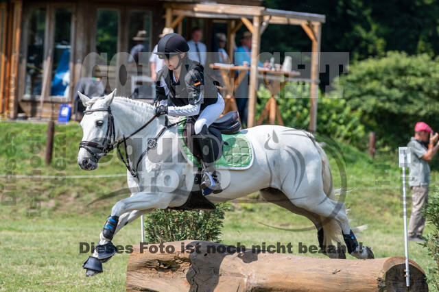 Goldene Schärpe 2021 - Ponys