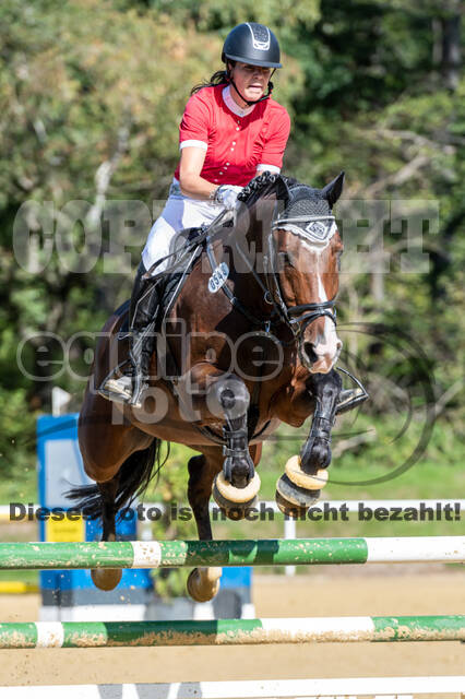 RFV Dinslaken-Hiesfeld (Herbstturnier)
