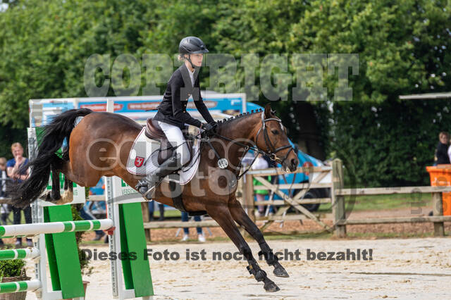 Goldene Schärpe 2021 - Ponys