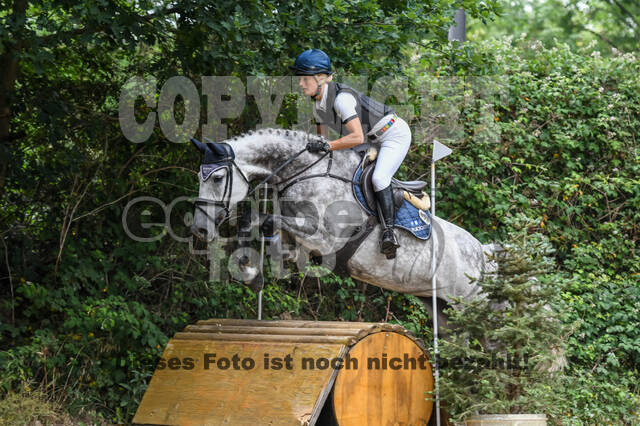 Late-Entry-Vielseitigkeit Langenfeld (11.+13./14.06.2020)