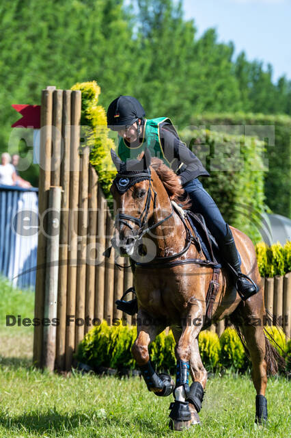 Westerstede Horse Trials (10.-13.06.2021)