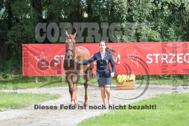 FEI European Championship Eventing 2017