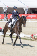 FEI European Championship