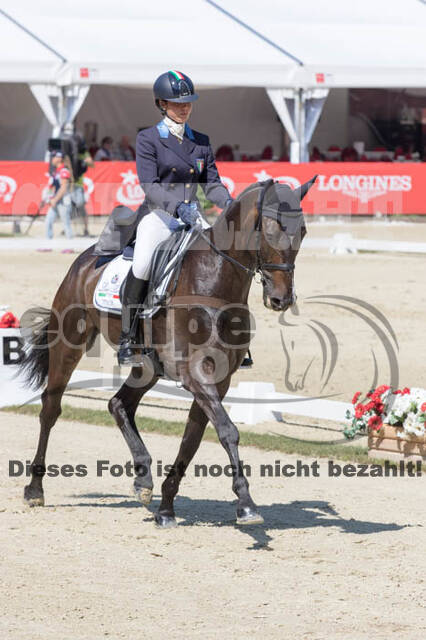 FEI European Championship