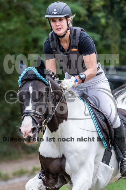 Late-Entry-Vielseitigkeit Langenfeld (11.+13./14.06.2020)