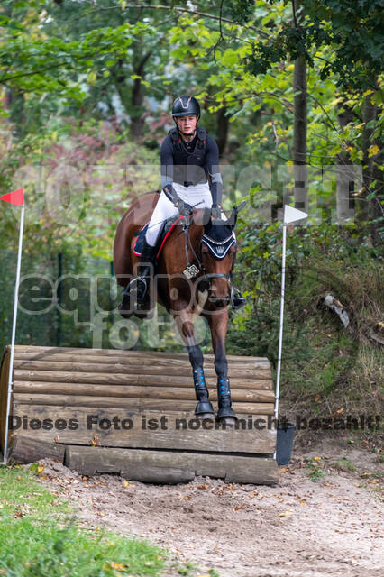 Goldene Schärpe 2020 - Pferde