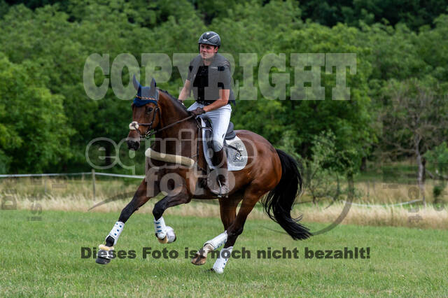 Bonn-Rodderberg Late-Entry-Vielseitigkeit (30.06.2020)