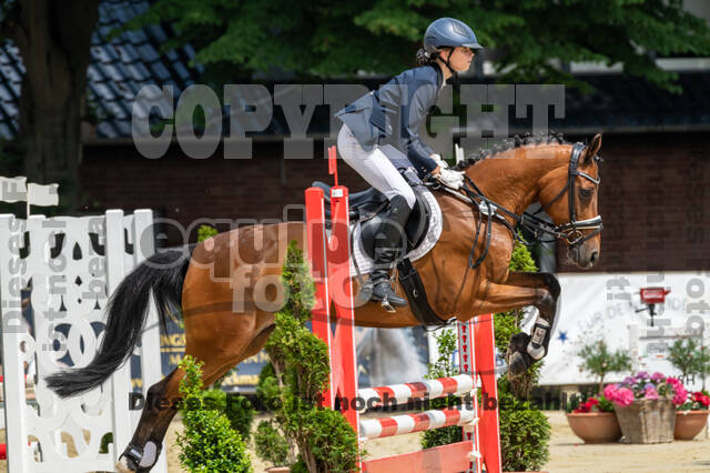 Goldene Schärpe 2021 - Ponys