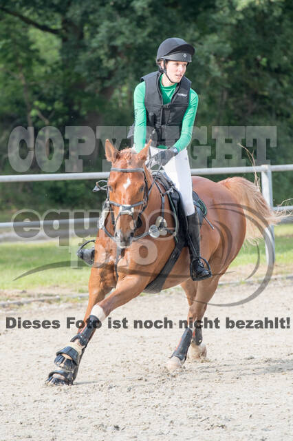 Eventing im Pferdesportzentrum Rheinland
