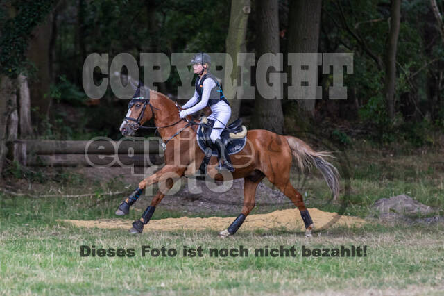 Late-Entry Vielseitigkeit Hamminkeln/Wesel (01.+02.08.2020)