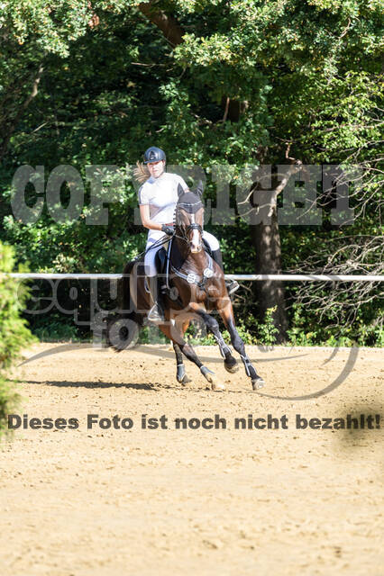 RFV Dinslaken-Hiesfeld (Herbstturnier)