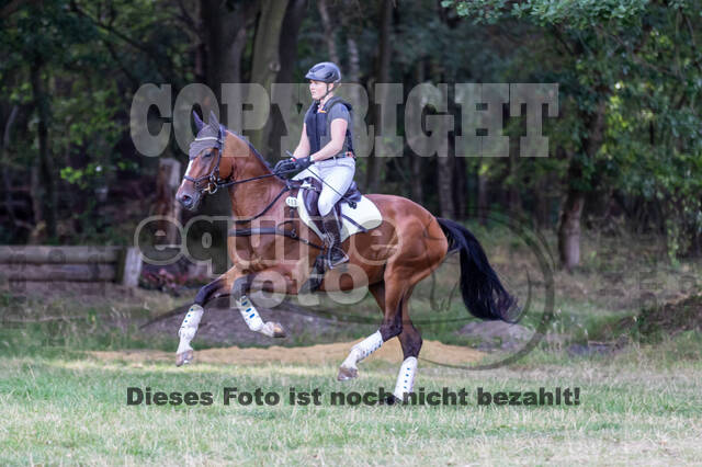 Late-Entry Vielseitigkeit Hamminkeln/Wesel (01.+02.08.2020)