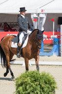 FEI European Championship Eventing 2017