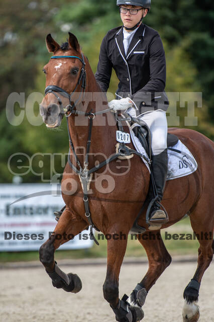 Landesturnier Rheinland, Vielseitigkeit, 22.+23.08.2020