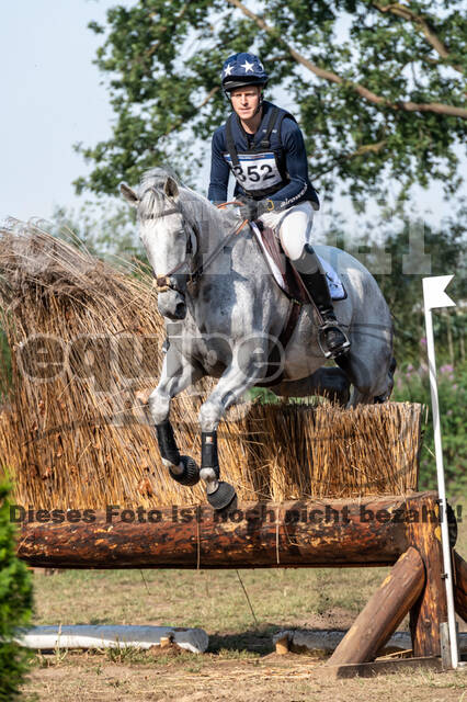 De Peelbergen (August 2020)