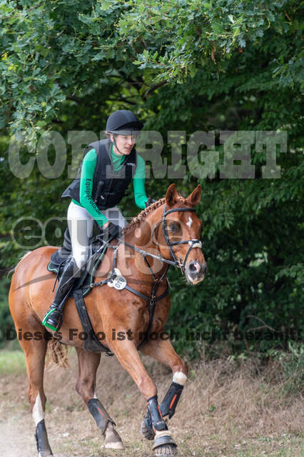 Late-Entry-Vielseitigkeit Langenfeld (11.+13./14.06.2020)