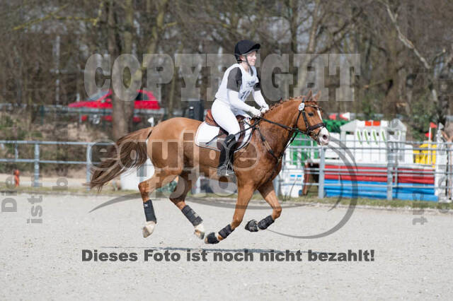 Eventing Langenfeld 2018