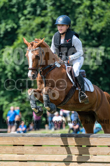 Goldene Schärpe 2021 - Ponys