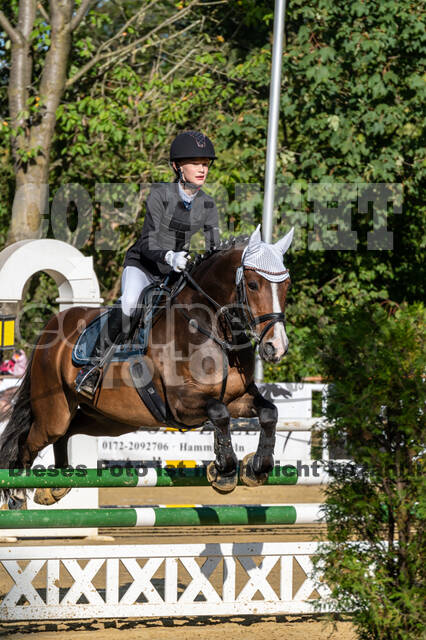 RFV Dinslaken-Hiesfeld (Herbstturnier)