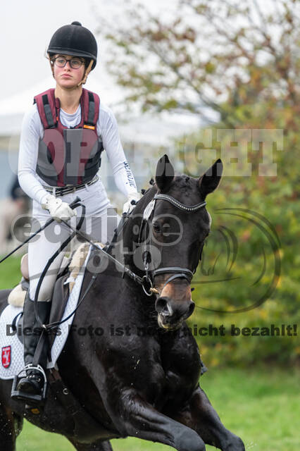 Goldene Schärpe 2020 - Pferde