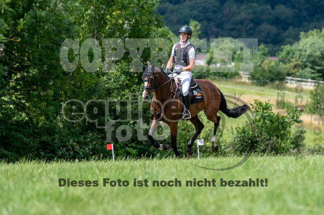 Bonn-Rodderberg Late-Entry-Vielseitigkeit (30.06.2020)