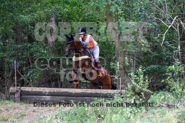 Late-Entry Vielseitigkeit Hamminkeln/Wesel (01.+02.08.2020)