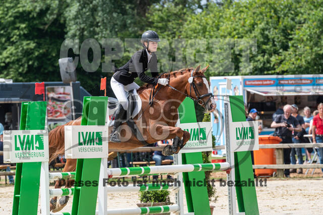 Goldene Schärpe 2021 - Ponys
