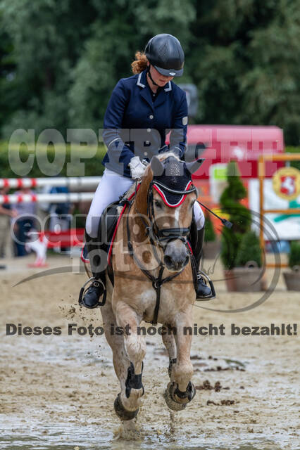 Goldene Schärpe 2021 - Ponys