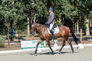Kronenberg - De Peelbergen (August 2020)