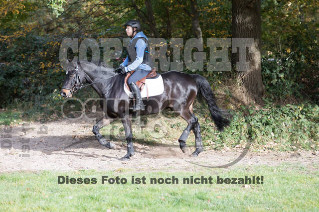 IGV Lehrgang der Sieger der Cups mit Frank Ostholt