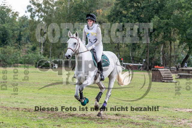 Vielseitigkeit RSV Wesel Obrighoven (26.+27.09.2020)